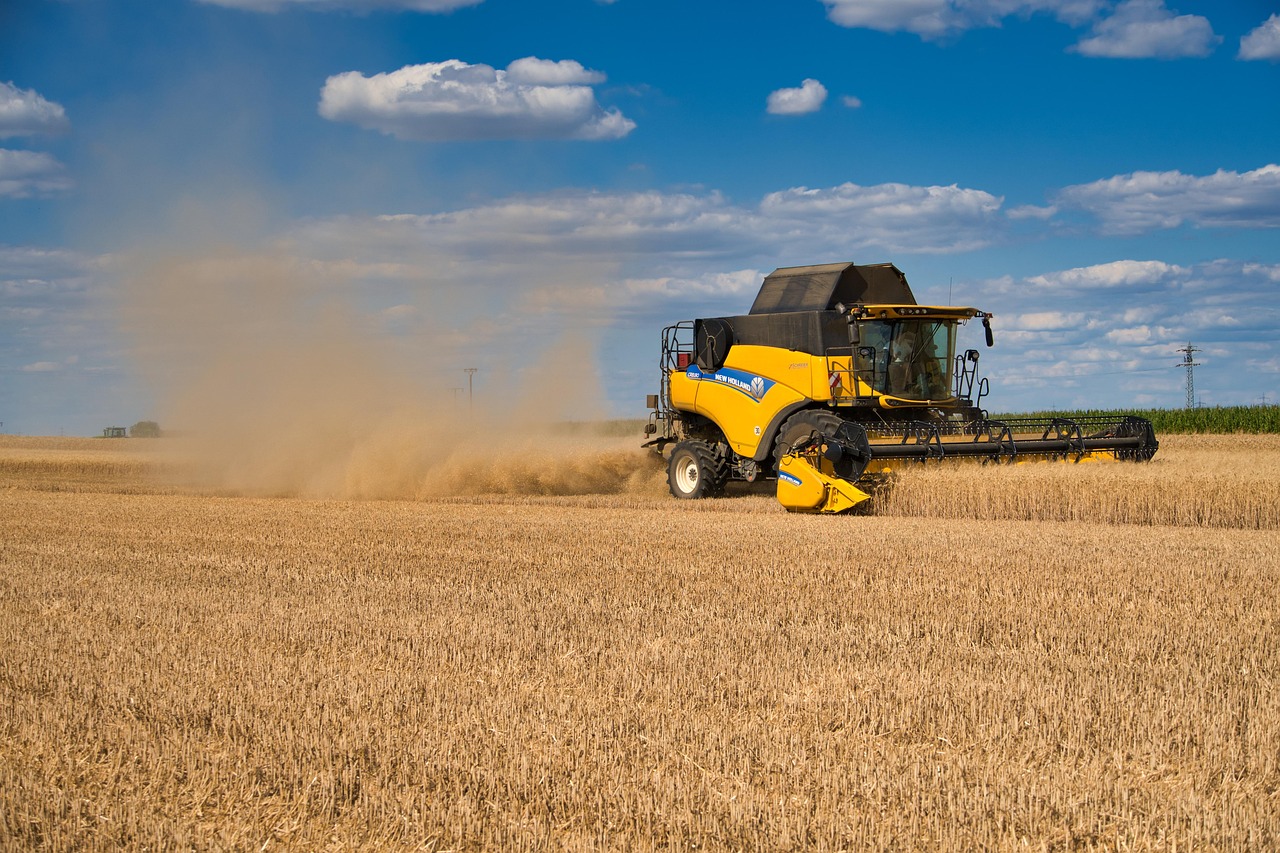 combine harvester in wheat field